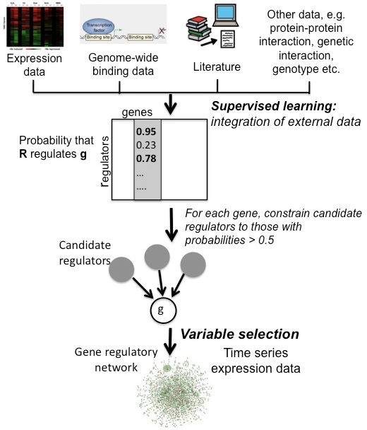 Yeung et al. PNAS 2011