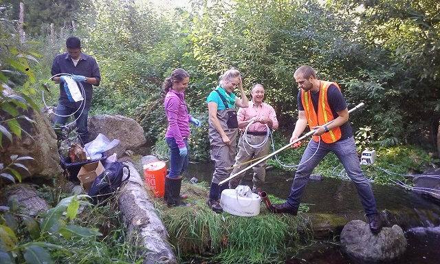 Student scientists working in the field collecting water samples