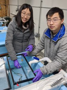 Student scientists working in the lab