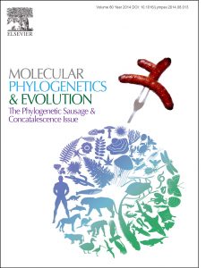 Cover Submission V.1: Rooted 3-taxa Phylogenetic Sausage Tree