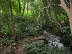 Kyabobo N.P.