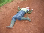 Roadkill