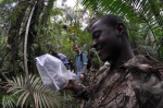 Caleb at Atewa