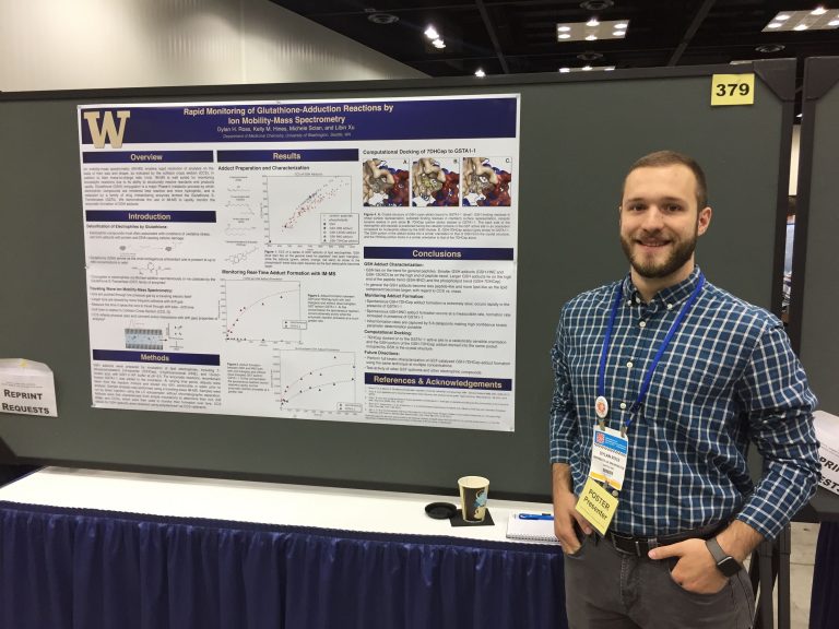 What is a dissertation picture