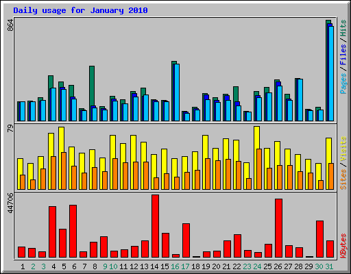 Daily usage for January 2010