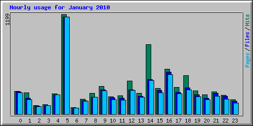 Hourly usage for January 2010