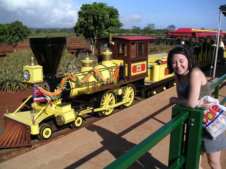 pineapple_train