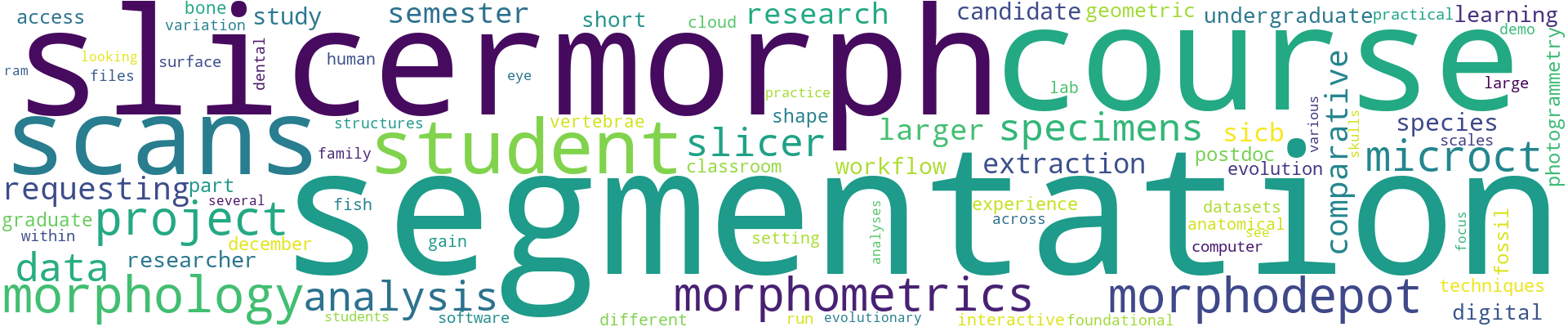 MorphoCloud