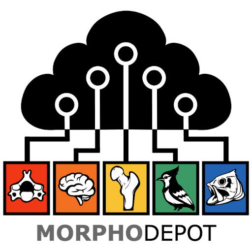 MorphoDepot