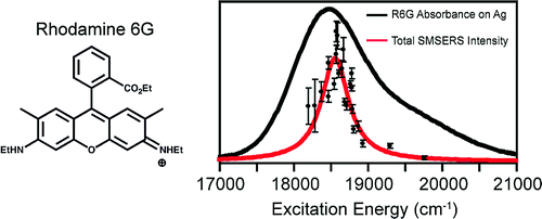Surface-Enhanced Raman Excitation Spectroscopy of a Single Rhodamine 6G Molecule