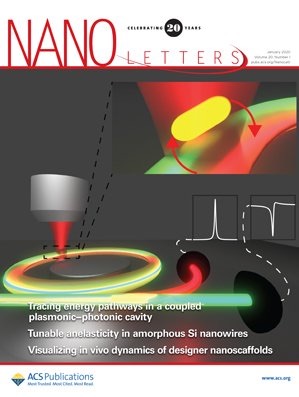 Elucidating Energy Pathways through Simultaneous Measurement of Absorption and Transmission in a Coupled Plasmonic–Photonic Cavity