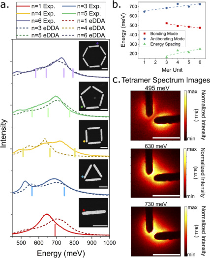 High Spatial and Energy Resolution Electron Energy Loss Spectroscopy of the Magnetic and Electric Excitations in Plasmonic Nanorod Oligomers