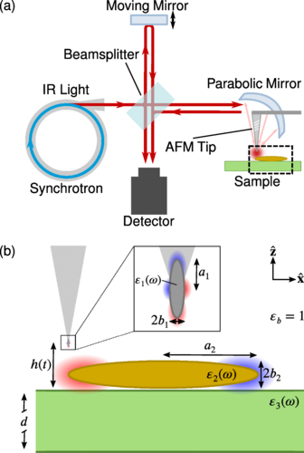 Probing Nanoparticle Substrate Interactions with Synchrotron Infrared Nanospectroscopy: Coupling Gold Nanorod Fabry-Pérot Resonances with SiO2 and hBN Phonons