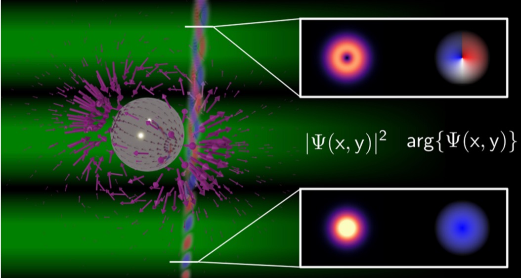 Polarization-Resolved Electron Energy Gain Nanospectroscopy With Phase-Structured Electron Beams