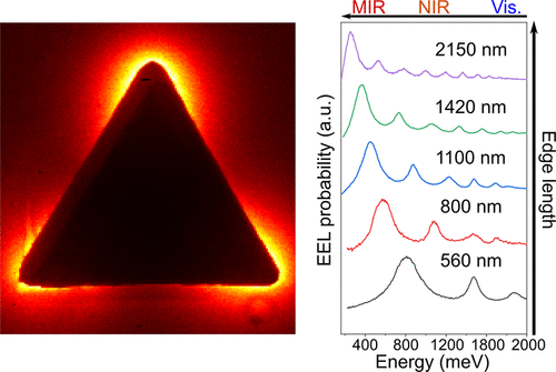 Infrared Near-field Spectroscopy of Gold Nanotriangle Fabry-Pérot Resonances