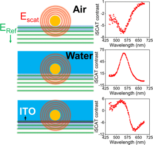 Scattering vs Interference in Interferometric Scattering Spectroscopy of Plasmonic Nanoparticles