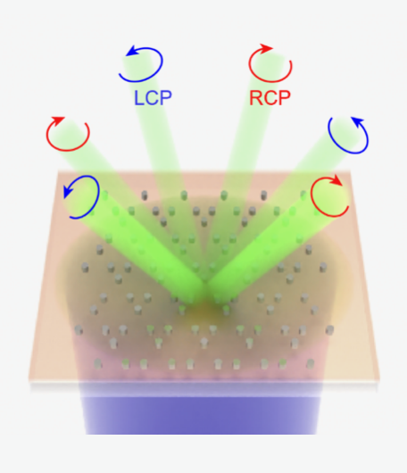 Circularly Polarized Polariton Lasing from Spin-Momentum Locking in Deformed Plasmonic Kagome Cavities