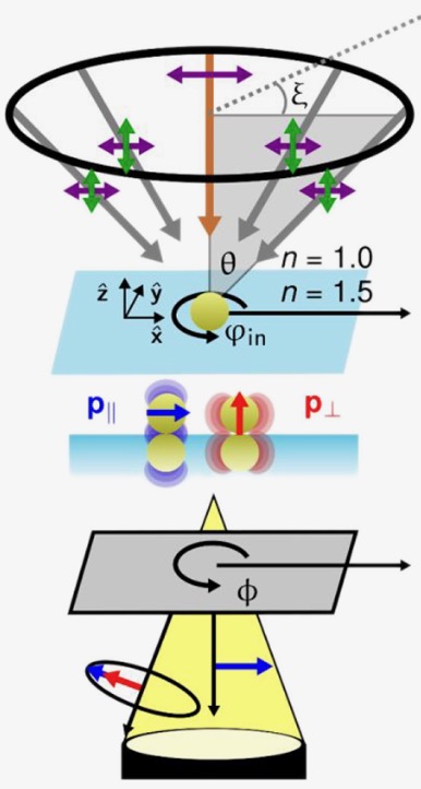 Four in One: Parallel Determination of Optical Activity and Optical Anisotropy from Single Plasmonic Nanostructures