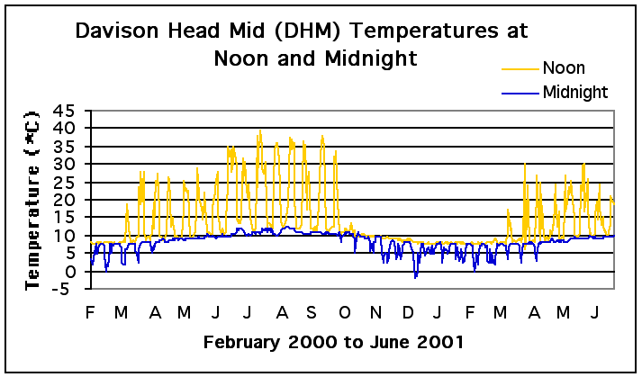 Davison Head Mid Temperatures at Noon and Midnight