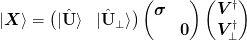 \ket{\mat{X}} = 
\begin{pmatrix}
  \ket{\uvect{U}} & \ket{\uvect{U}_{\perp}}
\end{pmatrix}
\begin{pmatrix}
\mat{\sigma}\\
  & \mat{0}
\end{pmatrix}
\begin{pmatrix}
  \mat{V}^{\dagger}\\
  \mat{V}_{\perp}^{\dagger}
\end{pmatrix}