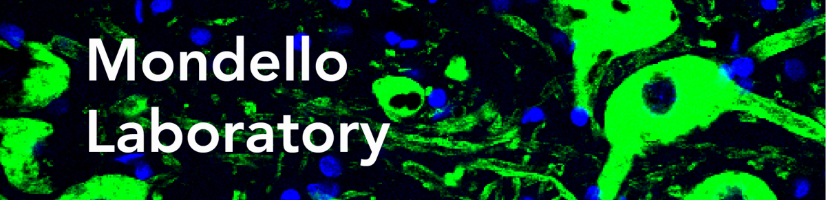 Mondello Laboratory