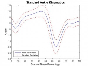 ankle_standarddeviationexample