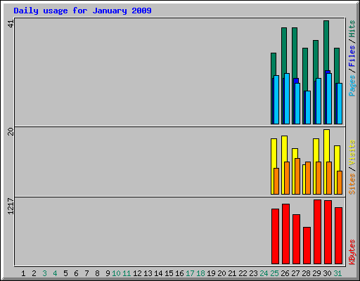 Daily usage for January 2009