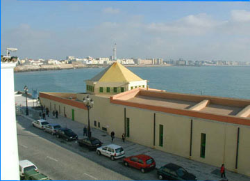 Campo de Sur (Cádiz