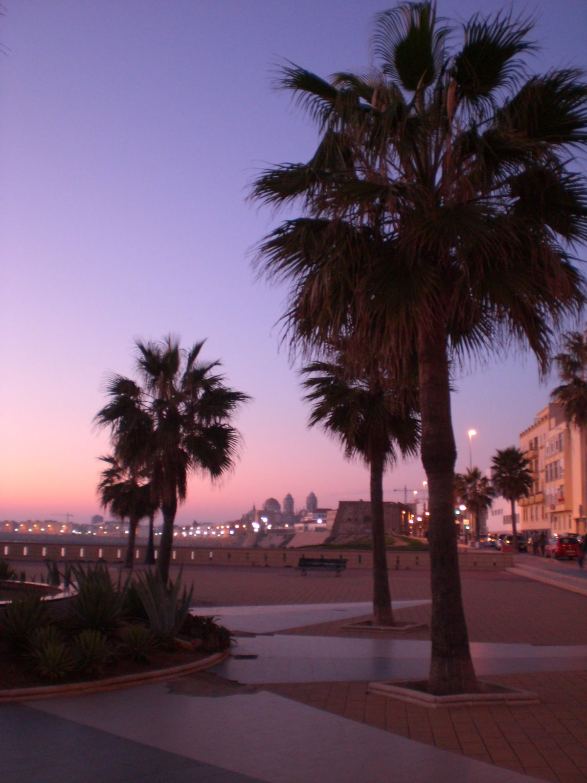 Cadiz 
(crepusculo)