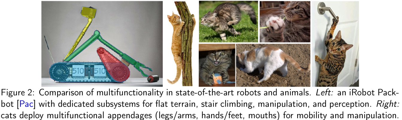comparison of multibehavioral robots and animals