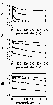 Differential Effects of R(-)-Mexiletine(-) mexiletine on Cloned Neuronal  and Cardiac Sodium Channel ? Subunits