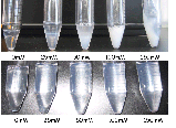 image of test tube vials