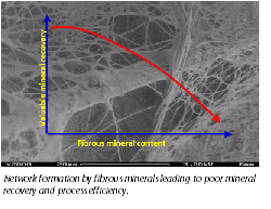 image of Network formation by fibrous minerals leading to poor mineral
recovery and process efficiency.