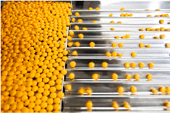 image of pharma manufacturing of pills