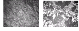 images of SEM micrographs showing
representative membrane surfaces
from ultrasonic sensor-controlled flow
reversal (left) and no flow reversal
(right); minimal scaling visible on left,
but significant scaling on right.