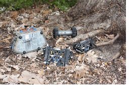 image of the scout robot next to a tree outside