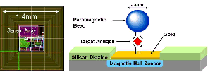drawing of magnetic bead