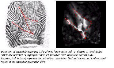 image of fingerprint detection software finding patterns in images