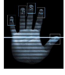 image of a hand with each fingerprint being electronically identified