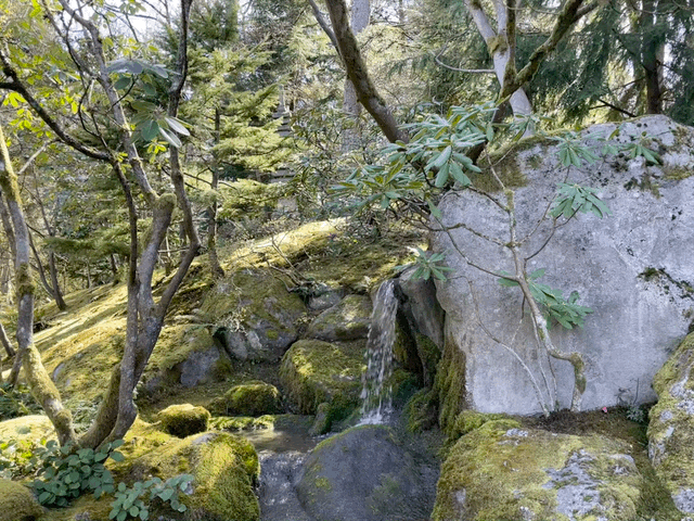 photo of waterfall