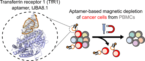 Aptamers