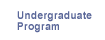 Undergraduate Program
