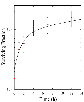 CHO 10B2 cell surviving fraction (split-dose)