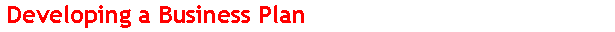  Developing a Business Plan 