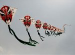 kites at Tiananmen (photo courtesy of Joyce Wong)