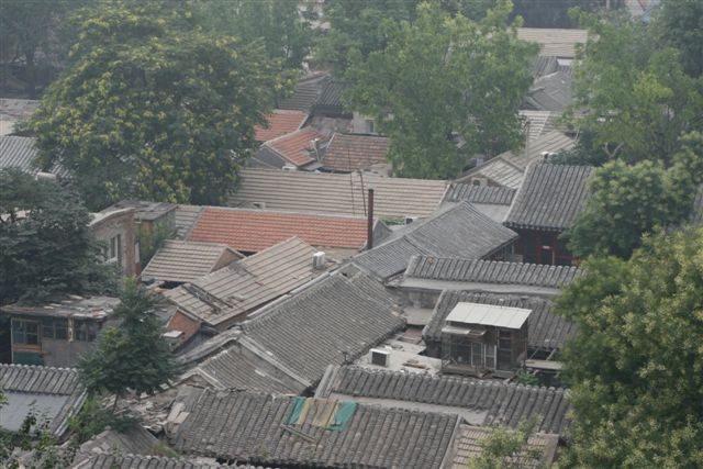 hutong as seen from the Bell Tower (photo courtesy of Joyce Wong)