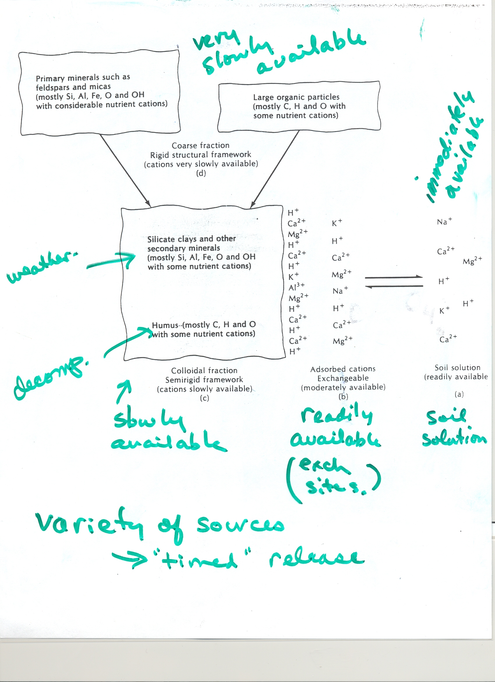 Nutrient Availability