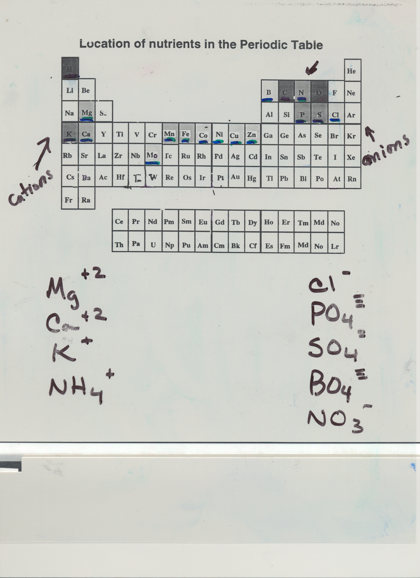 Periodic Table of Nutrients