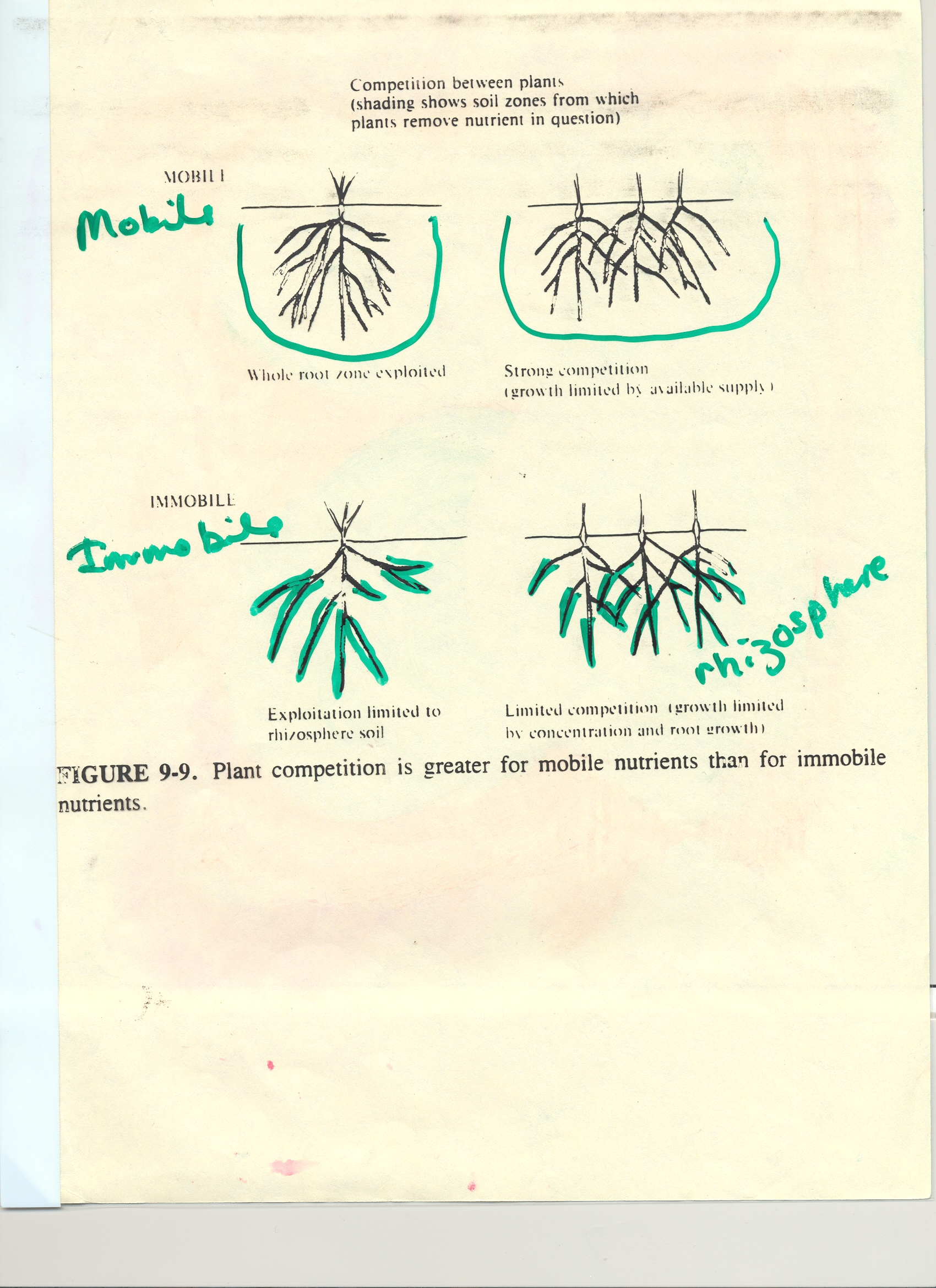 Mobile and Immobile Nutrients