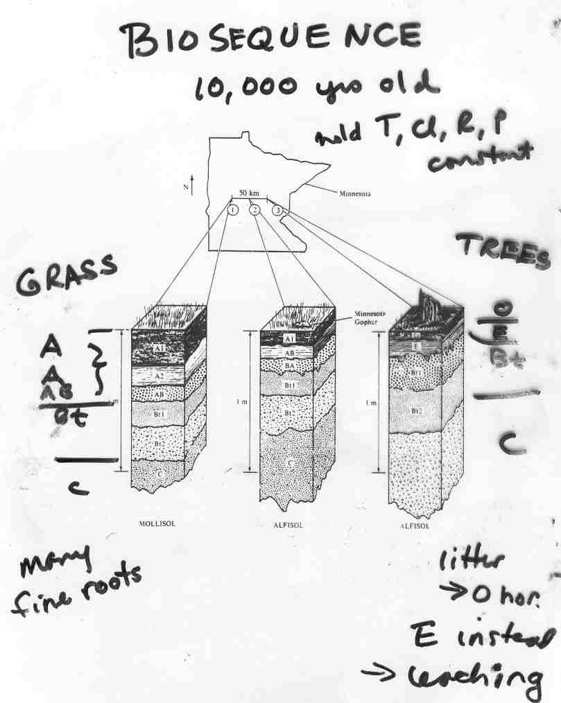 Biosequence